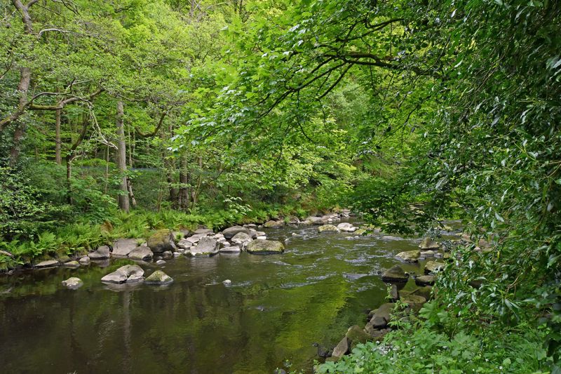 Dyson Holmes Lane Wharncliffe Side